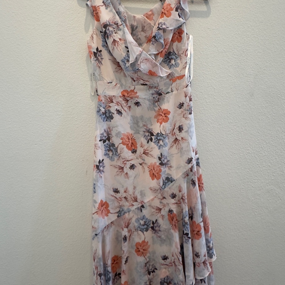 Ever New Asymmetrical Floral Dress - Pink and Blue